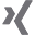 icon-xing